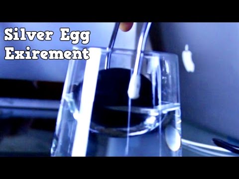 Silver Egg Illusion - UCe_vXdMrHHseZ_esYUskSBw