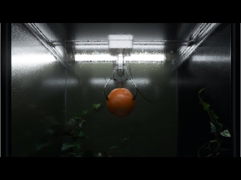 Charli XCX - claws (Instrumental)