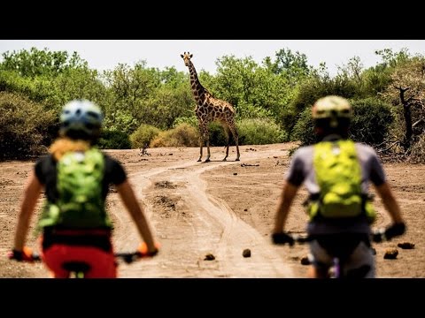 Botswana MTB Safari: Spotting African Wildlife by Bike - UCblfuW_4rakIf2h6aqANefA