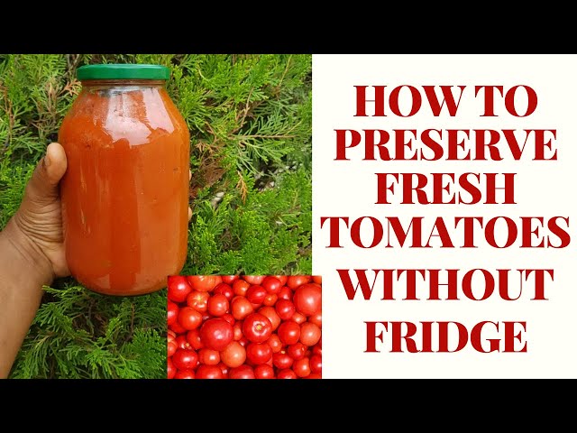 how-to-preserve-fresh-tomatoes-without-freezing-stuffsure