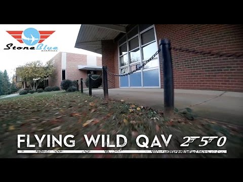 Flying Wild QAV250 - UC0H-9wURcnrrjrlHfp5jQYA