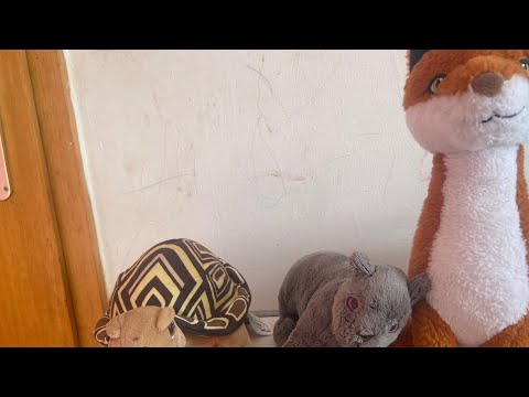 Schuler der magischen Tiere Kuscheltiere