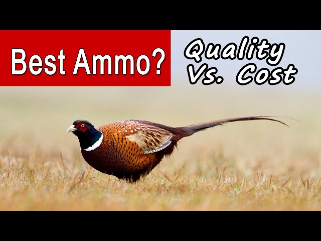 What Size Shot is Needed for Pheasant Hunting?