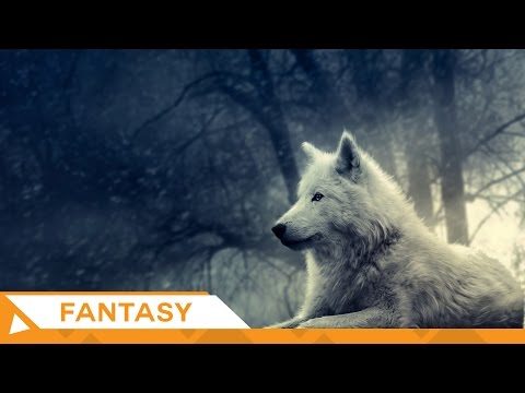 Epic Fantasy | Patryk Scelina - Wolves in the Woods (feat. Magdalena Przychodzka) | Epic Music VN - UC3zwjSYv4k5HKGXCHMpjVRg