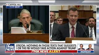WATCH - 'I Don't Give a Damn What You Appreciate': Gowdy to Peter Strzok