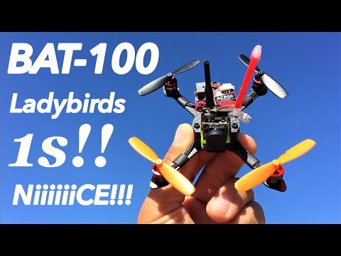 BAT-100 Ladybird props 1s FPV Escape - UC9l2p3EeqAQxO0e-NaZPCpA