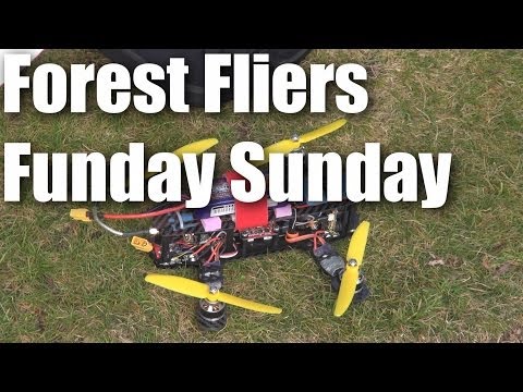 Forest Fliers of RC planes Funday Sunday - UCQ2sg7vS7JkxKwtZuFZzn-g