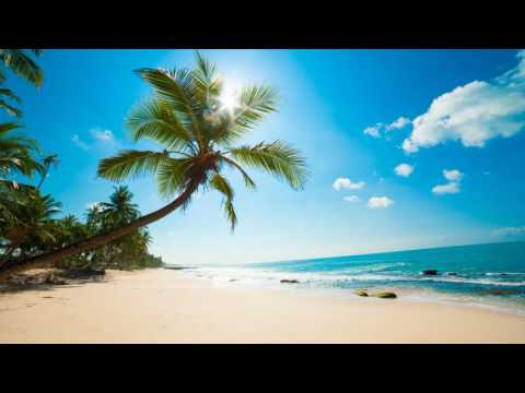 3 HOURS Lounge Chillout Ambient music Summer 2016 | Cocktail Miami | Wonderful Relaxing music - UCUjD5RFkzbwfivClshUqqpg
