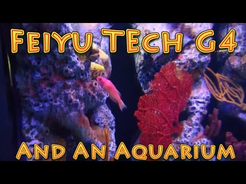 Feiyu Tech G4 Gimbal and The Florida Aquarium - UC18kdQSMwpr81ZYR-QRNiDg