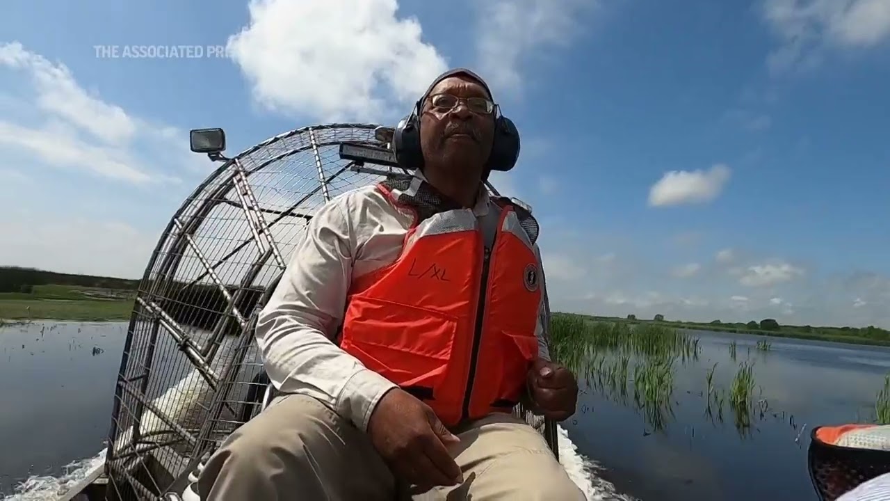 Airlift brings old Christmas trees to Louisiana marsh