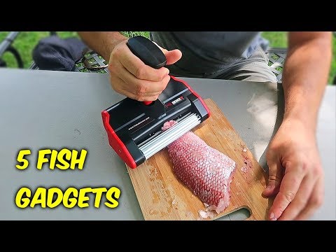 5 Fish Gadgets put to the Test - UCe_vXdMrHHseZ_esYUskSBw