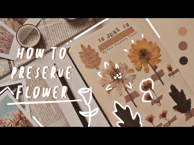 How to Preserve a Flower in a Book