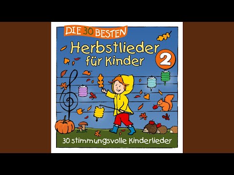 Der Wald wird bunt
