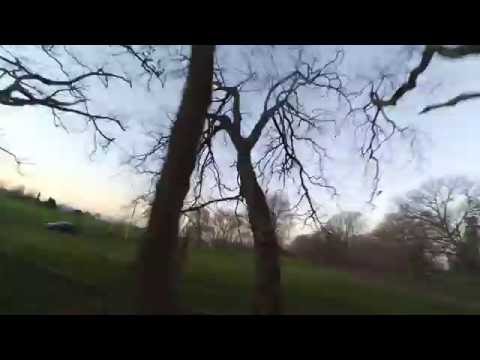 FPV practice (ghost branch forest) - UCTXOorupCLqqQifs2jbz7rQ