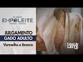 Expoleite Arapoti-PR - Julgamento do Gado Adulto da Raça Holandesa VB