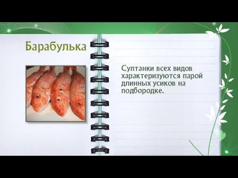 Кулинарная энциклопедия - Барабулька - UC7XBjhXnmmXFsxmnys9PmDQ