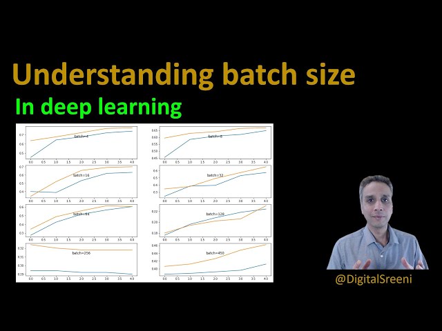How Deep Learning Model Size Impacts Performance