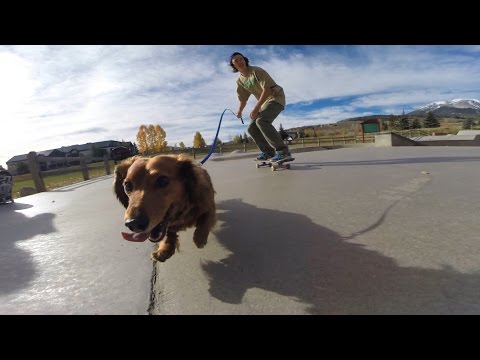 GoPro: Dachshund Skate Session - UCqhnX4jA0A5paNd1v-zEysw