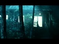 Bag of Bones (2011)