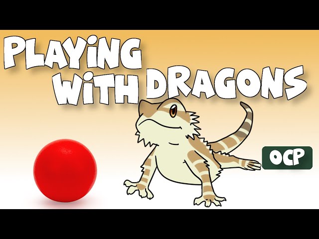 How to Play With a Bearded Dragon