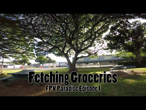 Fetching Groceries // FPV Paradise Episode #1 // #TeamUSAFPV // Drone Worlds - UCPCc4i_lIw-fW9oBXh6yTnw