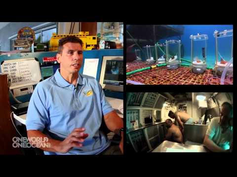 Private Foundation Seeks to Save Aquarius Underwater Lab | Video - UCVTomc35agH1SM6kCKzwW_g