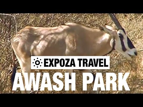 Awash Park (Ethiopia) Vacation Travel Video Guide - UC3o_gaqvLoPSRVMc2GmkDrg