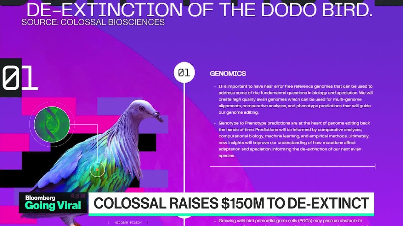 Going Viral: $1B Startup Aims to Revive Extinct Dodo