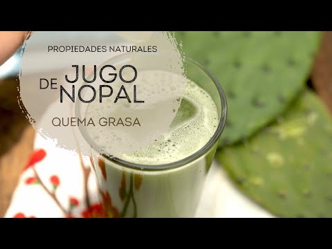 Jugo de nopal quema grasa - UCvg_5WAbGznrT5qMZjaXFGA