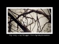 MV เพลง Fly Away - Lil'Plugger Feat.Zgramm, Blackchoc