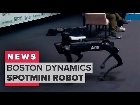 Boston Dynamics demonstrates its SpotMini robot dog (CNET News) - UCOmcA3f_RrH6b9NmcNa4tdg