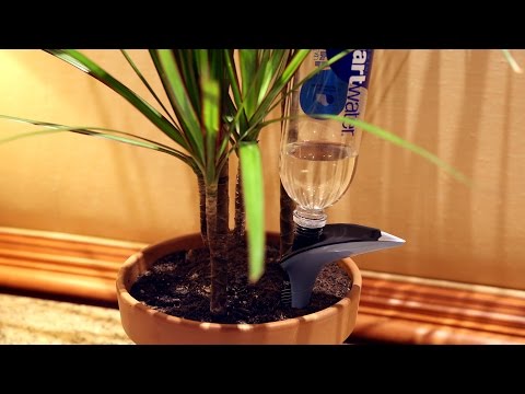 Parrot Announces Smart Devices H2O and the Pot | CES 2015 - UCCjyq_K1Xwfg8Lndy7lKMpA