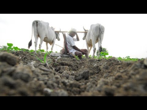 After earning just Rs 490 out of 19,000 kg potatoes, Agra farmer sends money order to PM Modi