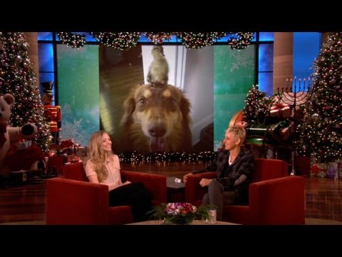 Amanda Seyfried's Amazing Dog - UCp0hYYBW6IMayGgR-WeoCvQ