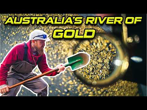 Reedy Creek is Australia's River of Gold! | Family-friendly Gold Hunting Trips