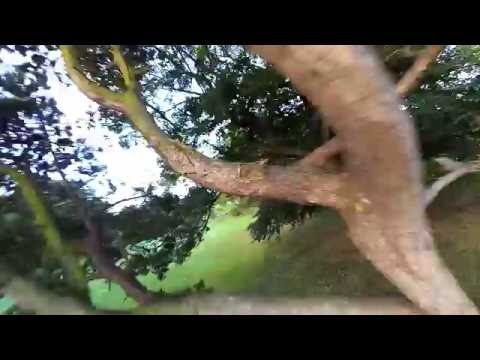 QAV210-Cameras at 0 Deg_ LUX FC-Betaflight 2.5. XM20A esc's - UCtpl0iFEzsrT9BW4ig-WBQA