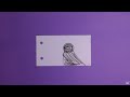 Analog Flipbooks