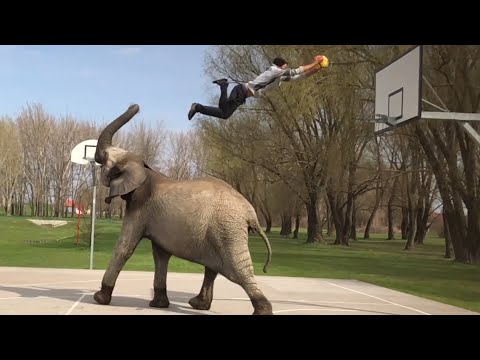 Soccer, Skateboarding & Basketball Dunks | Awesome Archive - UCIJ0lLcABPdYGp7pRMGccAQ