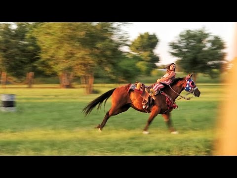 She Fell Off the Horse - UCtinbF-Q-fVthA0qrFQTgXQ