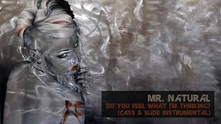 Mr. Natural - Do You Feel What I'm Thinking (Cass & Slide Instrumental) [Classic Progressive House]