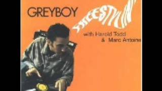 Greyboy - Freestylin - Singles Party