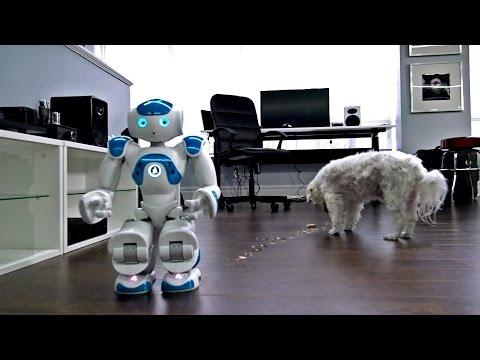 Robot + Dog + Pop-Tart = ? - UCsTcErHg8oDvUnTzoqsYeNw