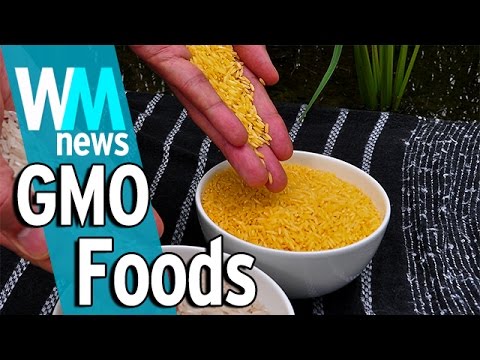 10 Genetically Modified Food Facts - WMNews Ep. 27 - UCaWd5_7JhbQBe4dknZhsHJg