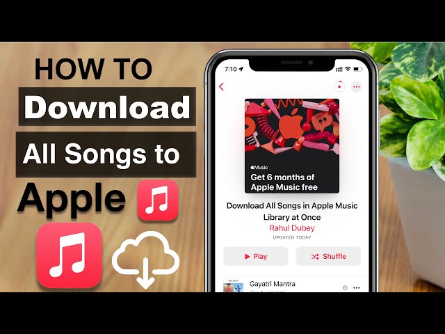 How to Download All Music on Apple Music at Once?