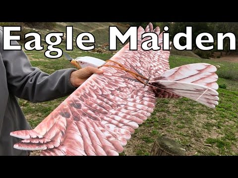 Eagle Maiden Flight - UCTa02ZJeR5PwNZK5Ls3EQGQ