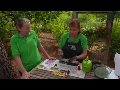 Making Wildflower Seed Bombs - UCmxBsGrSE3sbCs3eXeoJViw