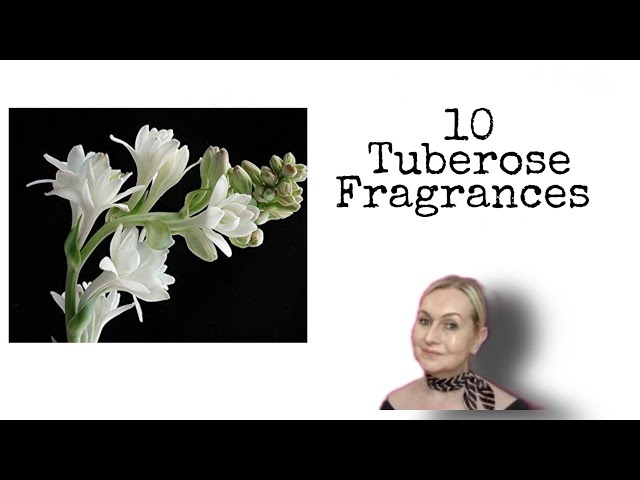 What Does Tuberose Smell Like?