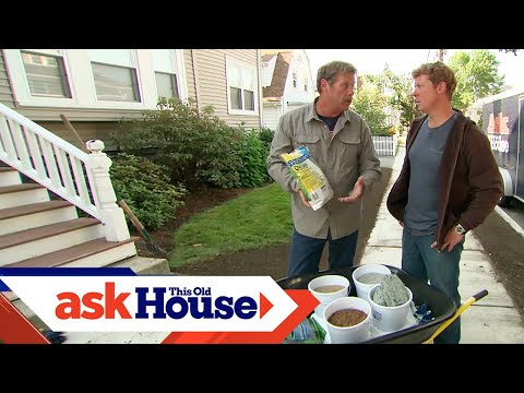 How to Patch a Lawn With Grass Seed | Ask This Old House - UCUtWNBWbFL9We-cdXkiAuJA