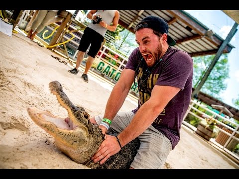 Gator Wrestling!! - Great American Road Trip (Day 57) - UCd5xLBi_QU6w7RGm5TTznyQ