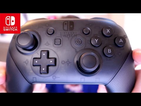 Do You Need a Nintendo Switch Pro Controller? - UCzNhowpzT4AwyIW7Unk_B5Q